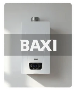 Baxi