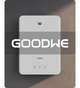 Goodwe